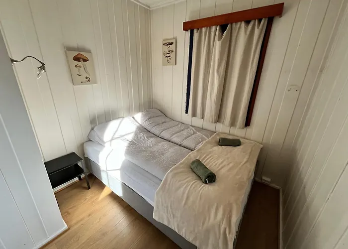 Homestay In Oslo City 2